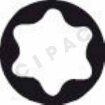 Cipac BOSCH - EMBOUT DE VISSAGE EXTRA-DUR T20, 25 MM 10X - 2607001612