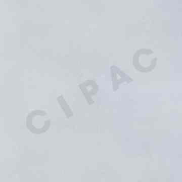 Cipac ALBERTS - GEGALVANISEERDE STAALPLAAT 250X500X0,5 MM - 466237